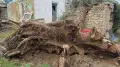 Бұршақ және дауыл: Ақтөбе табиғаттың тосын мінезінен кейін қалпына келтіріліп жатыр