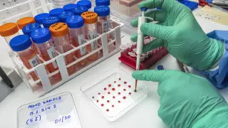 АҚШ барлау қызметінің басшысы биозертханалардың жаһандық желісі туралы мәлімдеді: бұған Қазақстанның қандай қатысы бар?