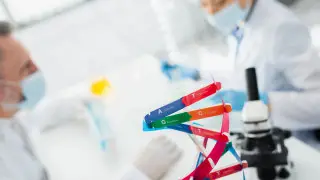Қарағанды облысында зираттағы орынға талас ДНҚ сараптамасын жасаумен аяқталды