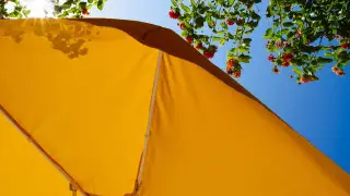Астана және Алматы тұрғындарына күн ыстық болатыны ескертілді
