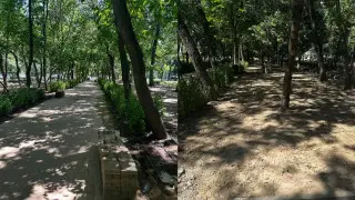 Алматы әкімдігі Гагарин бойындағы аллеяда плитка неге қайта ауыстырылып жатқанын түсіндірді