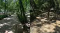 Алматы әкімдігі Гагарин бойындағы аллеяда плитка неге қайта ауыстырылып жатқанын түсіндірді
