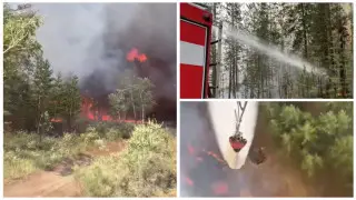 Абай облысында жүздеген құтқарушы жерден және әуеден орман өртін сөндіріп жатыр