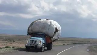 Неге баяу жүретін жүк көліктерін басып озуға болмайды? Сарапшы жолдағы қауіпті тұзақты түсіндірді