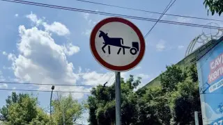Алматылықтарды ерекше жол белгісі таңғалдырды