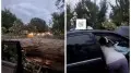 Талдықорған - Текелі тасжолында ішінде адамдар отырған көліктің үстіне ағаш құлады