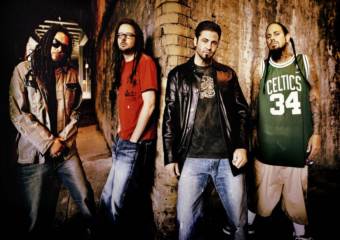 Korn выпустит два альбома в 2009 году