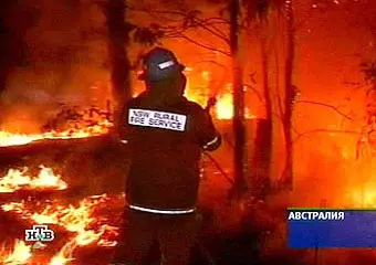 Сильная жара унесла жизни 20 человек в Австралии