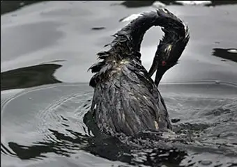 Российские корабли обвинили в разливе 12 тонн нефти