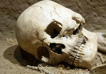 Потомки вождя апачей потребовали вернуть его череп