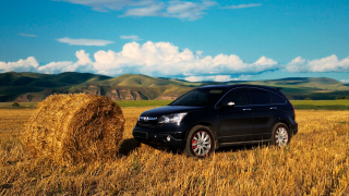 Honda CR-V / Фото: noneedinnick