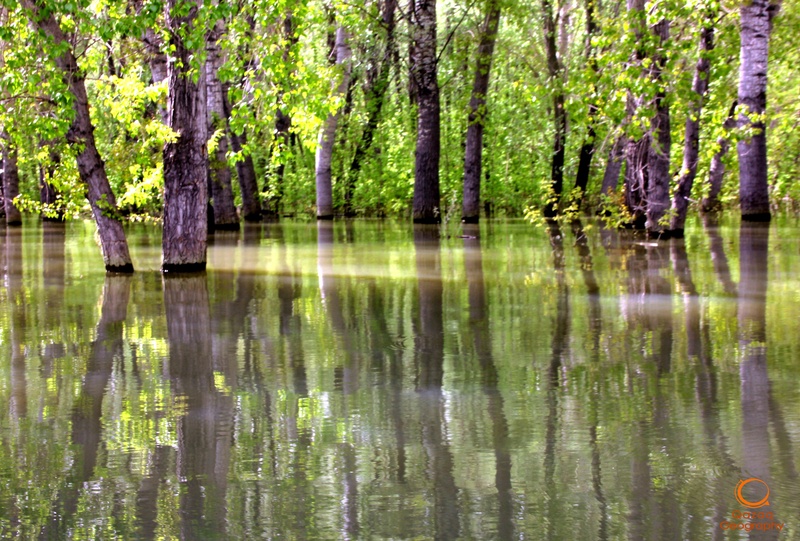 Большая Вода