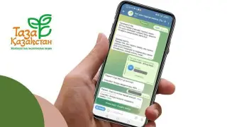 TazaQazBot чат-ботына жыл басынан бері астаналықтардан 600-ден астам өтінім түсті