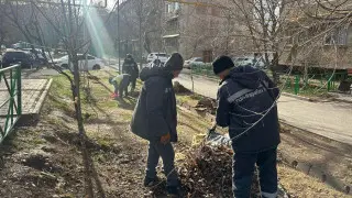 Экологическая акция прошла в Шымкенте