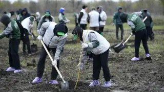 Таза Қазақстан: высажено 1000 саженцев деревьев