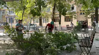 Шымкент: “Таза Қазақстан“ экологиялық акциясы аясындағы кезекті тазалық іс-шарасы өтті