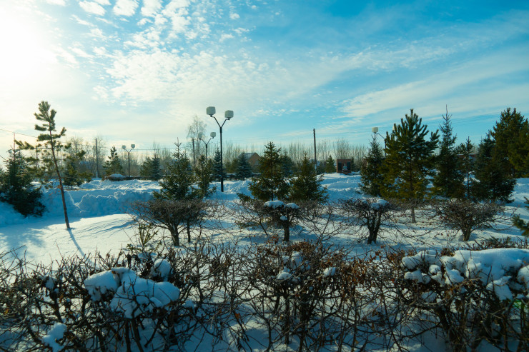 Новоникольское северо казахстанская область. Новоникольское село, Север Казахстана. Село Новоникольское Северо-Казахстанская область.