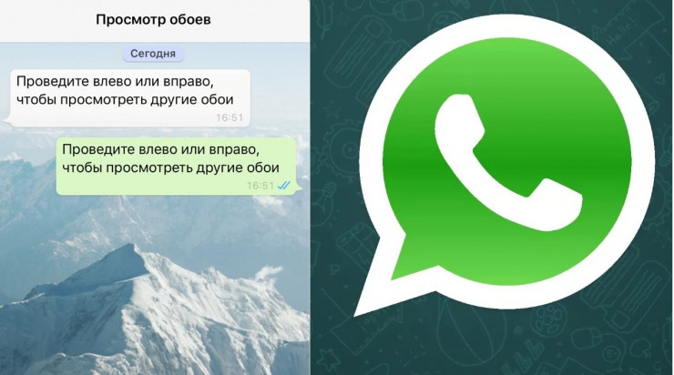 10 функций WhatsApp, о которых вы могли не знать: 03 марта 2020, 08:55 -  новости на Tengrinews.kz