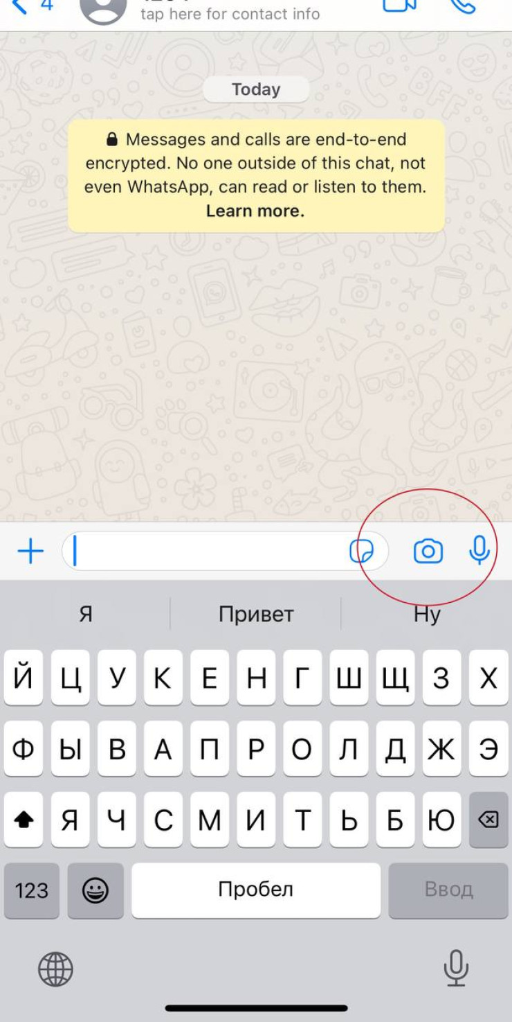 Почему в WhatsApp пропали ”видеокружочки”: 26 февраля 2024 16:37 - новости  на Tengrinews.kz