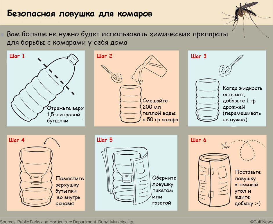 Комаров станет гораздо меньше благодаря простой ловушке из бутылки и дрожжей: как ее сделать